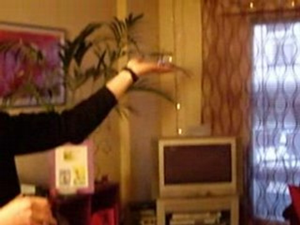 n'achetez pas un mini-helico si vous avez un chat!