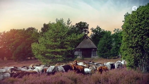 Rote Rosen Folge 3898