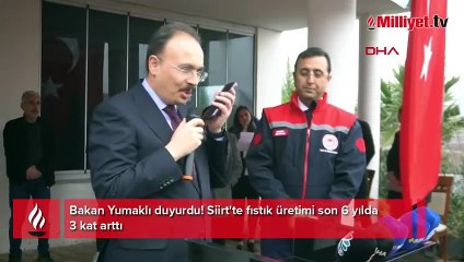 Bakan Yumaklı duyurdu! Siirt'te fıstık üretimi son 6 yılda 3 kat arttı
