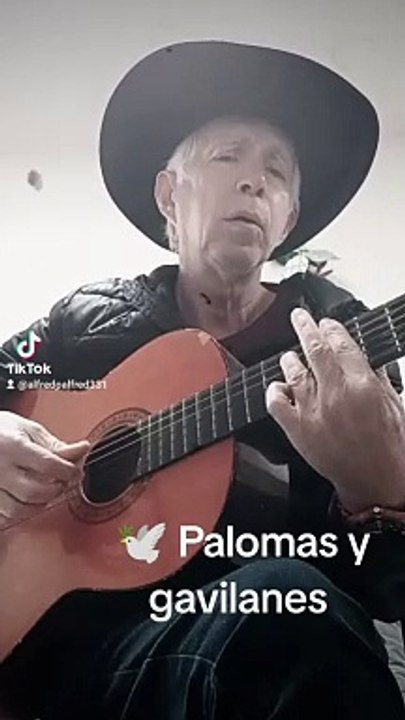 Palomas y gavilanes.