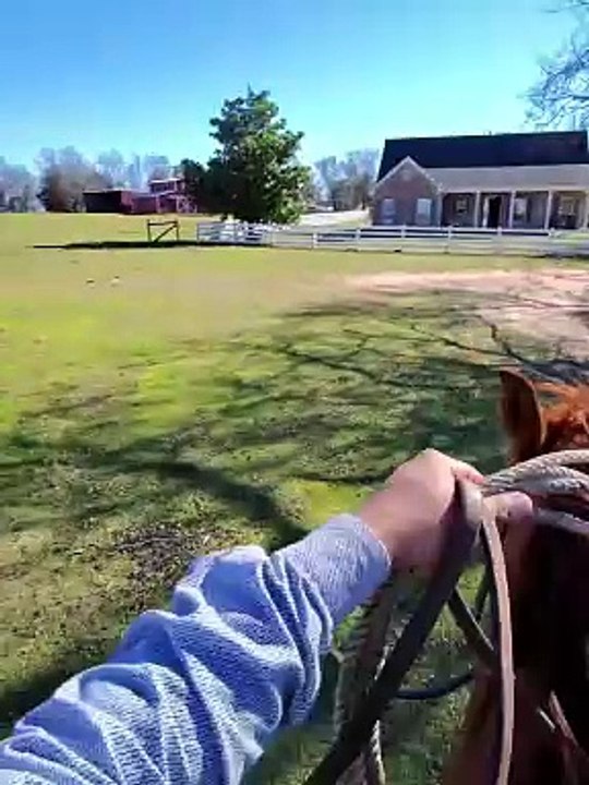 Rancher Ropes Escaping Calf