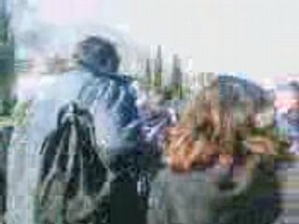 VID008