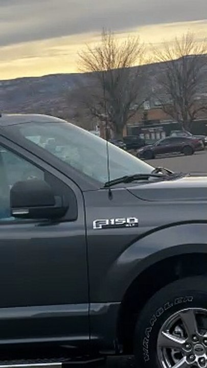 Great Pyrenees Tap Dances On Truck