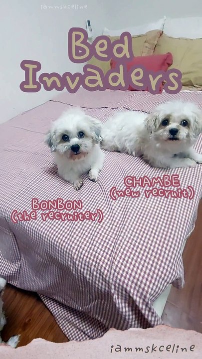 Bed Invaders 