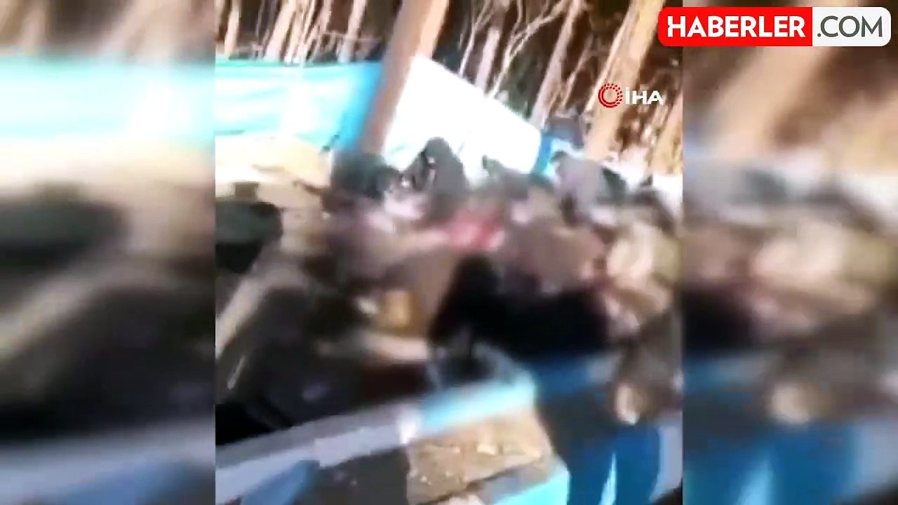 Cumhurbaşkanı Erdoğan, Reisi ile görüştü: Türkiye terörle mücadelede İran'ın yanında