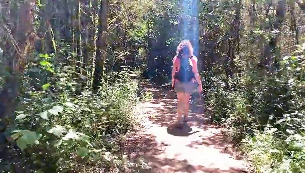 Senderismo - Trekking - Imágenes de archivo