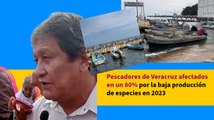 Pescadores de Veracruz afectados en un 80% por la baja producción de especies en 2023
