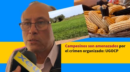 Campesinos son amenazados por el crimen organizado: UGOCP