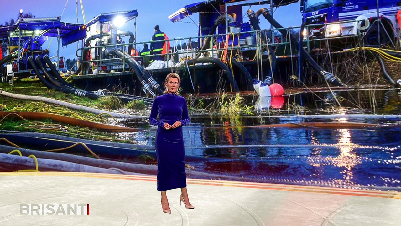 Kamilla Senjo Brisant (03/01/2024)