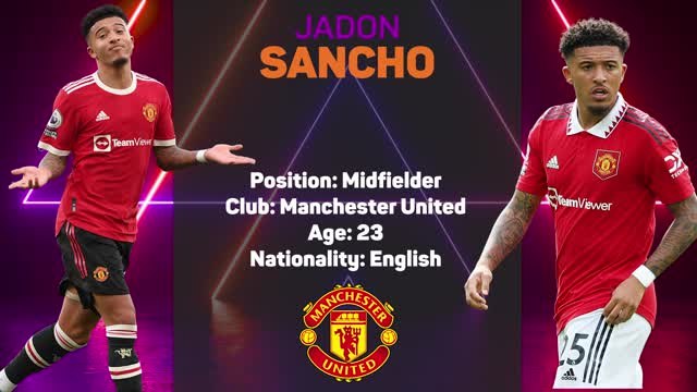 Opta Profile - Jadon Sancho