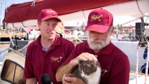 Oli the cat completes Sydney to Hobart yacht race to fanfare at dock, after a week at sea