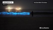 Bioluminescent waves hit the shores of California