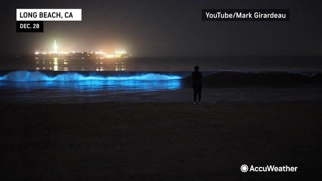 Bioluminescent waves hit the shores of California