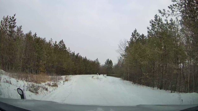 Passing Sledder Unexpectedly Crashes Into Parked Car