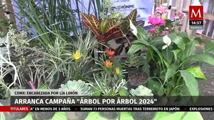 En CdMx, da inicio la campaña "Árbol por Árbol 2024"