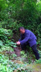 101 DIY Tool Tips: Learn This Ancient Animal Hide Gelatin Production Technique