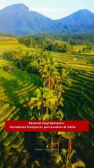 Selamat Pagi Semeton,  Keindahan hamparan persawahan di Jatiluwih