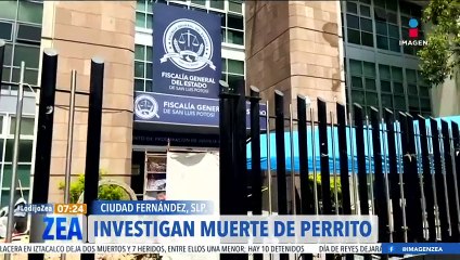 Investigan la muerte de un perro en San Luis Potosí