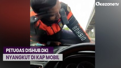 Viral! Petugas Dishub DKI Nyangkut di Kap Mobil Taksi Online