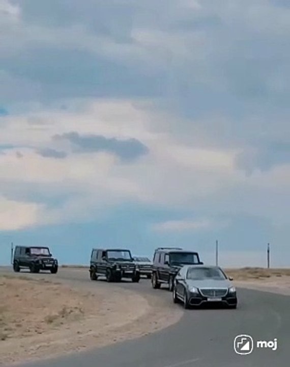 Car lover