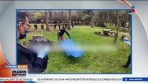 Encuentran a otro perrito sacrificado en el Bosque de Nativitas