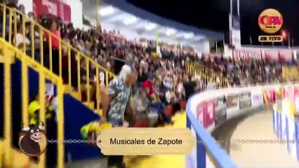 Musicales de Zapote | 3 enero 2024