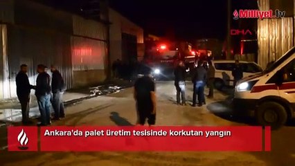 Ankara'da palet üretim tesisinde korkutan yangın
