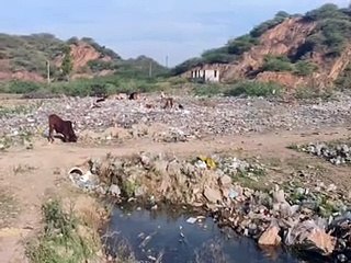 जहां हुआ करता था खेल मैदान, बना दिया कूड़ादान-video