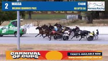 Luvtoo breaking her drought at Riverina Paceway
