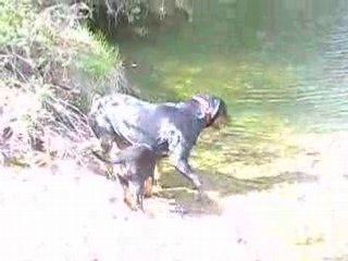 rott qui veux pas se mouiller