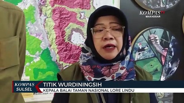 Penertiban Tambang Ilegal Dikawasan Taman Nasional Lore Lindu