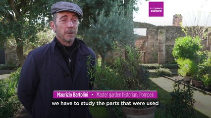 Dyeing to remember: Pompeii's ancient textile techniques resurrected in modern day