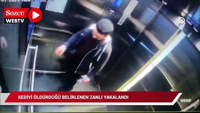 Başakşehir'de kediyi öldürdüğü belirlenen zanlı yakalandı