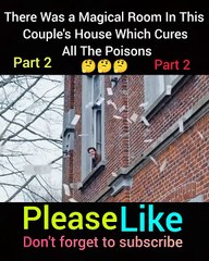 There Was a Magical Room In This Couple's House Which Cures All The Poisons  #shorts#viral