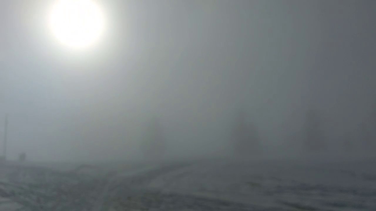 Aufsteigender Nebel am Hochmoor in Mittersill