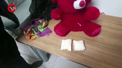 Oyuncak ayıdan 1825 uyuşturucu hap çıktı