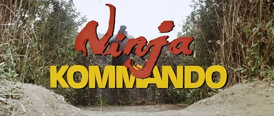 Ninja Kommando (1982) – Actionreicher Kung-Fu Spaß mit Conan Lee 🥋