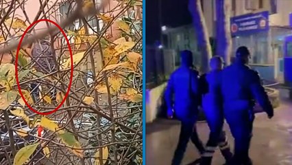 İstanbul’da köpeğe işkence yapan şüpheli gözaltına alındı