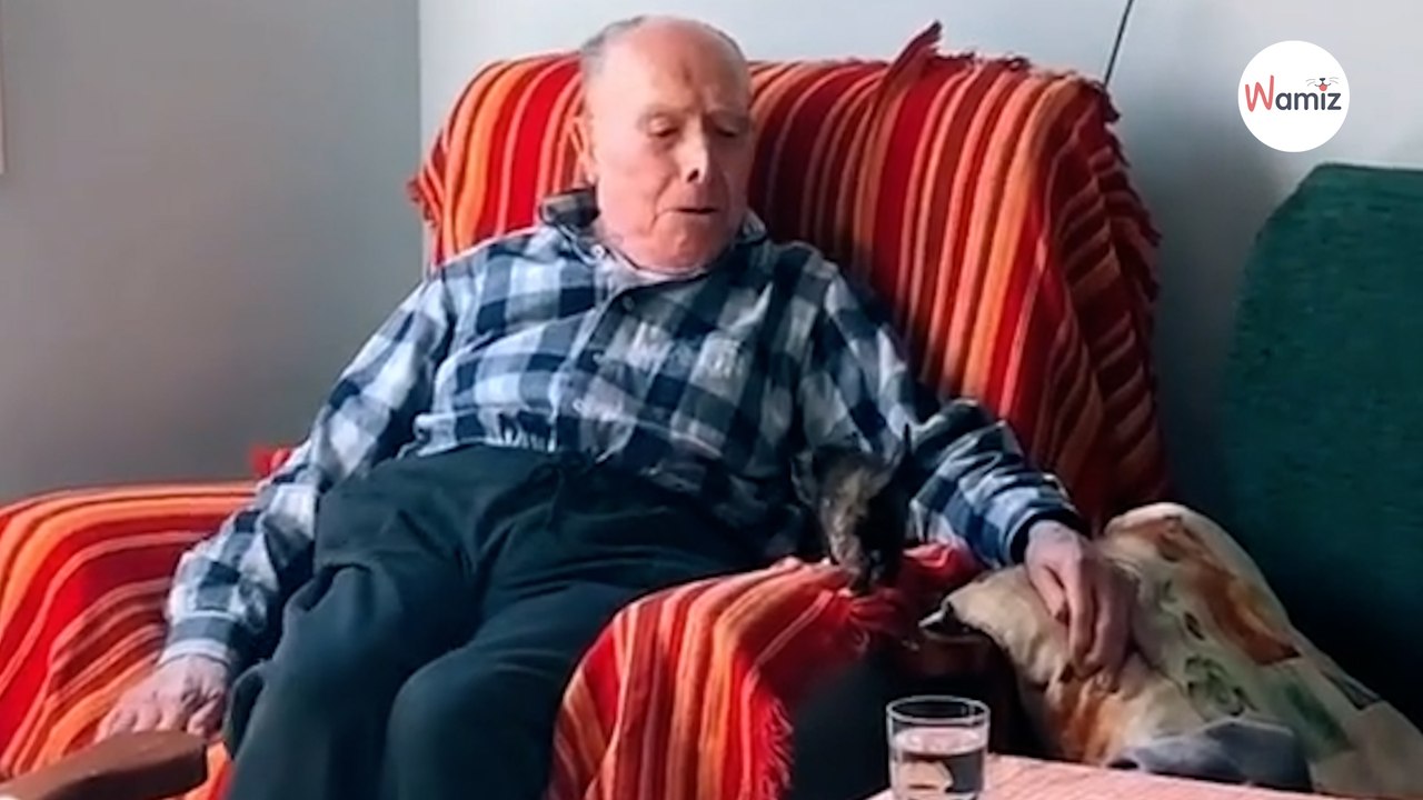 Kätzchen sieht 100 Jahre alten Opa: Was folgt, zieht 2,5 Millionen Menschen in ihren Bann