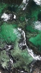 Tales of Nature: Discover the Wisdom Within the Leaves