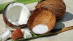 नारियल दुध के फायदे | नारियल का दूध पीने के फायदे | नारियल दुध का उपयोग | coconut milk ke fayde