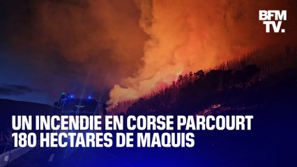 Un incendie en Corse parcourt 180 hectares de maquis