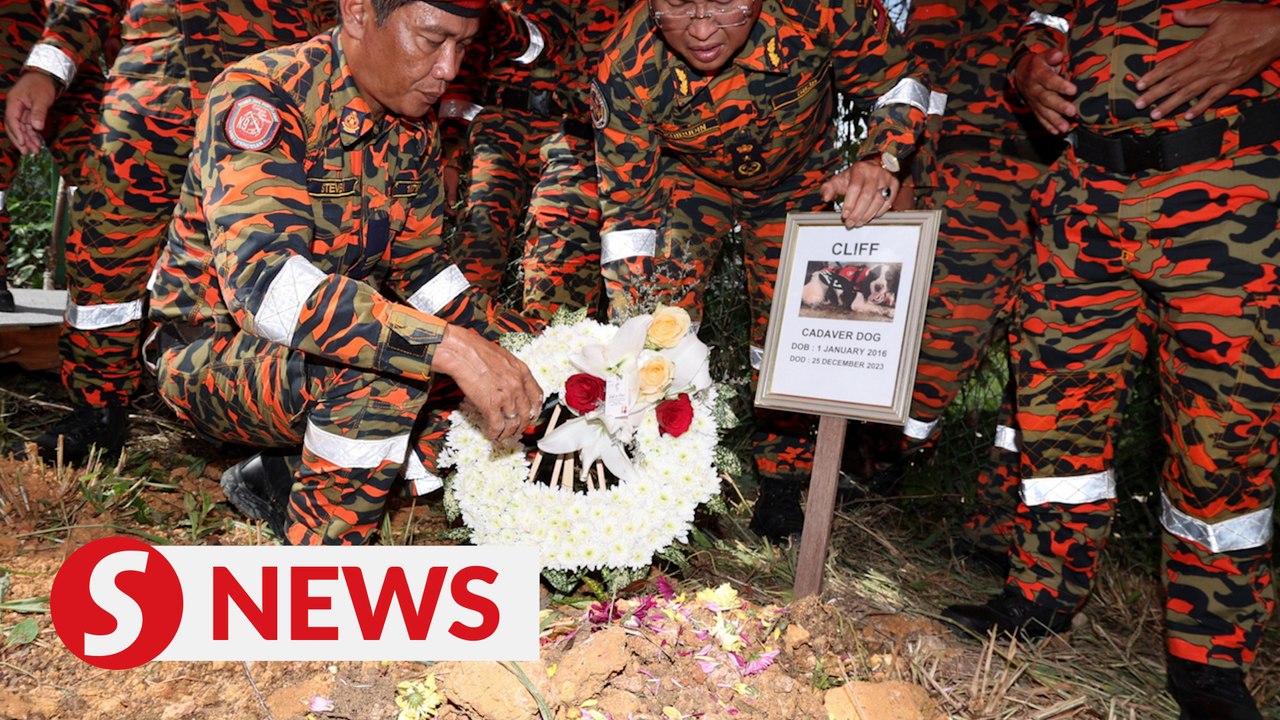 Goodbye, Cliff: Bomba's tracker dog laid to rest in Serian