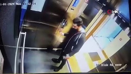 İstanbul'daki kedi katili kamerada! Takip edip eze eze öldürdü