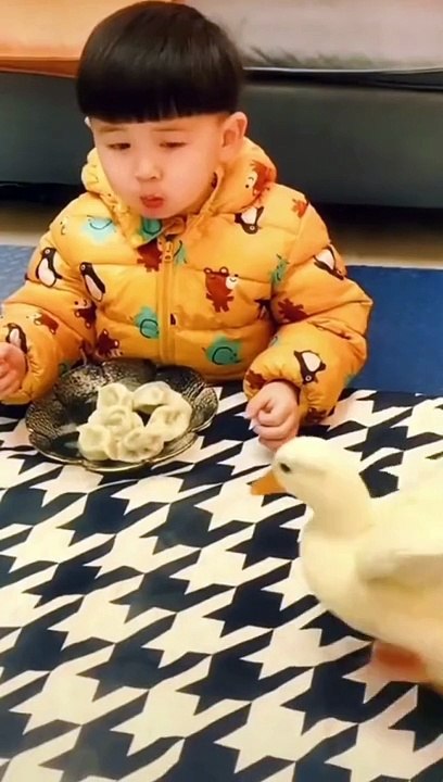 New funny baby movie