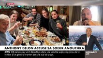 Dossier Alain Delon : Anthony Delon attaque sa soeur Anouchka en justice