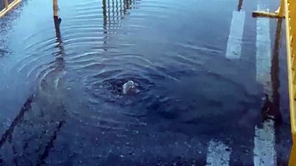 Vertido de aguas fecales en Aldeamayor Golf