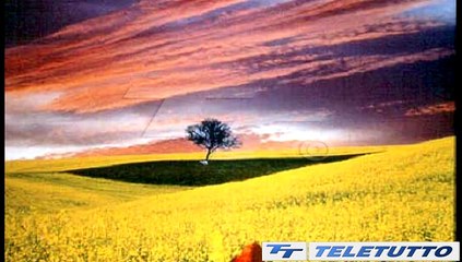 Video News - TORNA IL BRESCIA PHOTO FESTIVAL