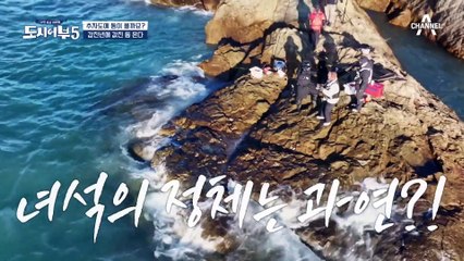 5짜가 되어 돌아오렴♥ 경규의 신년 맞이 돌돔 방생쇼