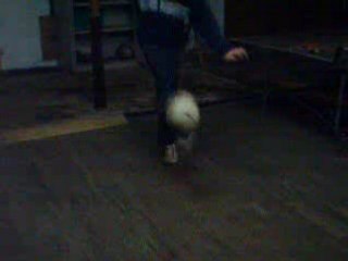 juju freestyle, tro simple sa !!